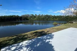 3631 Grayton Dr, New Port Richey, FL 34652 - Photo 42