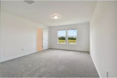 33239 Binding Ties Lane, Wesley Chapel, FL 33545 - Photo 10