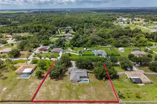 10234 Bloomfield Hills Dr, Seffner, FL 33584 - Photo 2