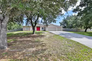 10234 Bloomfield Hills Dr, Seffner, FL 33584 - Photo 1