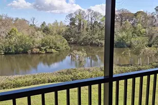 1686 Seascape Cir, Tarpon Springs, FL 34689 - Photo 20