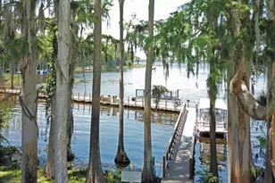 3537 Birkdale Ln, Palm Harbor, FL 34684 - Photo 14