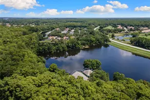 4201 Waterscape Dr, Palm Harbor, FL 34685 - Photo 40