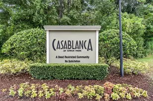 11014 Blaine Top Pl, Tampa, FL 33626 - Photo 24
