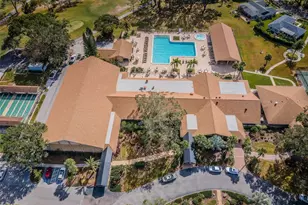3215 McMath Dr, Palm Harbor, FL 34684 - Photo 44