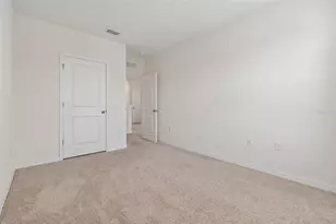 17053 Oval Rum Dr, Wimauma, FL 33598 - Photo 24