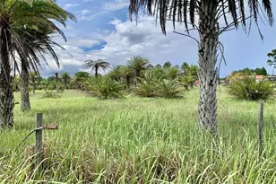 Dan Brown Hill Rd, Brooksville, FL 34602 - Photo 1