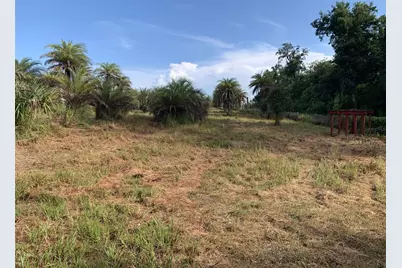Dan Brown Hill Road #Lot 1, Brooksville, FL 34602 - Photo 6