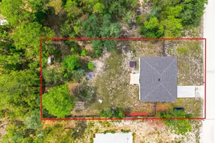 15186 Duck Hawk Rd, Weeki Wachee, FL 34614 - Photo 10