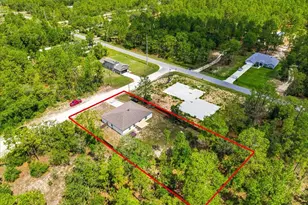 15186 Duck Hawk Rd, Weeki Wachee, FL 34614 - Photo 8