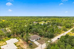 15186 Duck Hawk Rd, Weeki Wachee, FL 34614 - Photo 58