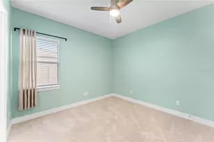 8249 Ivy Stark Blvd, Wesley Chapel, FL 33545 - Photo 30