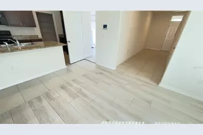 32724 Ansley Bloom Lane, Wesley Chapel, FL 33543 - Photo 10