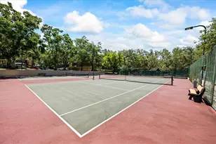 2626 2nd Ct, Palm Harbor, FL 34684 - Photo 36