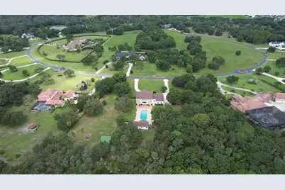 11444 Hammock Oaks Ct, Lithia, FL 33547 - Photo 4