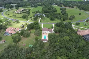 11444 Hammock Oaks Ct, Lithia, FL 33547 - Photo 4
