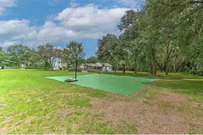 11444 Hammock Oaks Ct, Lithia, FL 33547 - Photo 40
