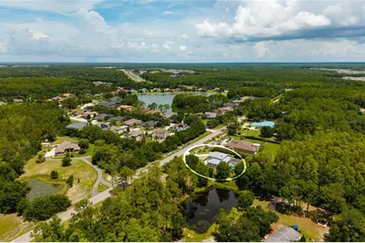 1436 Altamont Lane, Odessa, FL 33556 - Photo 76