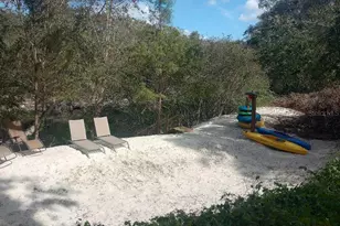 348 NW Null Rd, White Springs, FL 32096 - Photo 22