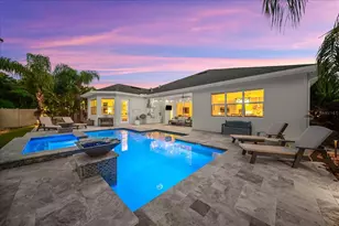 2013 Bee Branch Ct, Palm Harbor, FL 34683 - Photo 54
