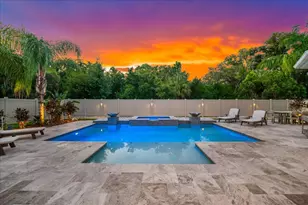 2013 Bee Branch Ct, Palm Harbor, FL 34683 - Photo 46