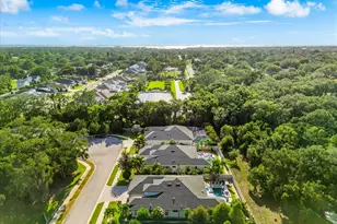 2013 Bee Branch Ct, Palm Harbor, FL 34683 - Photo 58