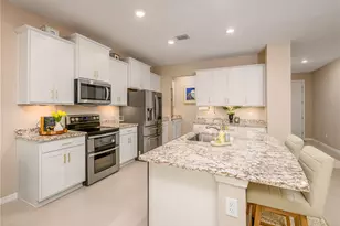 33634 Garden Sage Isle, Wesley Chapel, FL 33545 - Photo 14