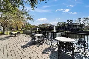 845 Normandy Trace Rd, Tampa, FL 33602 - Photo 38