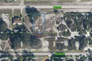 3114 Miller Ave, Lake Placid, FL 33852 - Photo 1