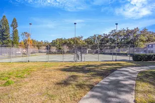 6226 Goldenmoss Way, Tampa, FL 33617 - Photo 32