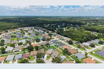 3739 Golden Eagle Drive, Land O Lakes, FL 34639 - Photo 44