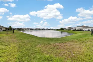 5633 Hawks Cay St, Apollo Beach, FL 33572 - Photo 46