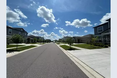 22164 N Calisto Way N, Land O Lakes, FL 34637 - Photo 34
