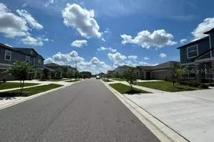 22164 N Calisto Way N, Land O Lakes, FL 34637 - Photo 34