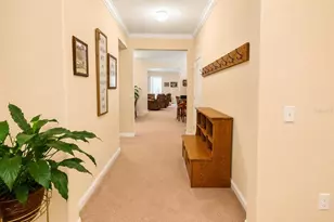 13842 Bee Tree Ct, Hudson, FL 34669 - Photo 14