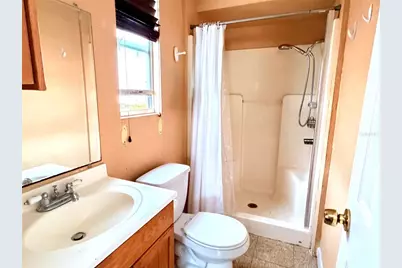 3306 W Burke Street, Tampa, FL 33614 - Photo 36