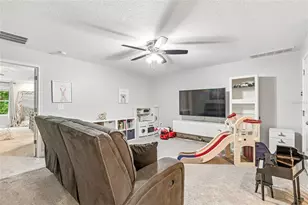 17852 Althea Blue Pl, Lutz, FL 33558 - Photo 20
