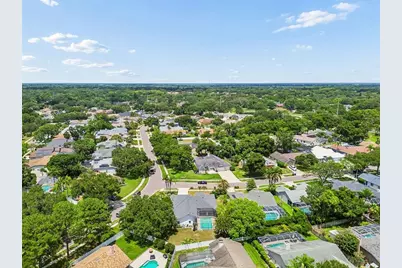 1776 Wood Thrush Way, Palm Harbor, FL 34683 - Photo 50