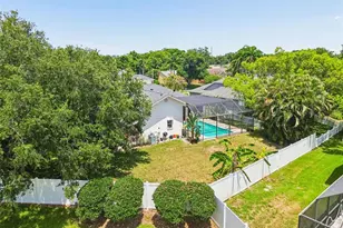 1776 Wood Thrush Way, Palm Harbor, FL 34683 - Photo 64