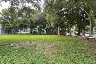 0 Pinellas St, Clearwater, FL 33756 - Photo 1