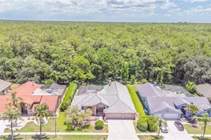 3792 Windber Blvd, Palm Harbor, FL 34685 - Photo 64