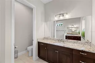 20454 Lace Cascade Rd, Land O Lakes, FL 34637 - Photo 14