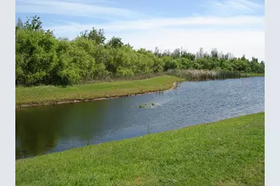 9630 Baton Rouge Lane, Land O Lakes, FL 34638 - Photo 2