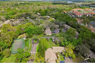 2903 Fig Court, Palm Harbor, FL 34684 - Photo 46