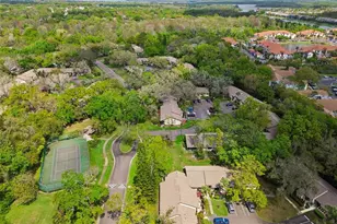 2903 Fig Ct, Palm Harbor, FL 34684 - Photo 46
