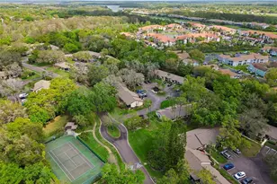 2903 Fig Ct, Palm Harbor, FL 34684 - Photo 44