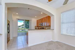 6919 Towering Spruce Dr, Riverview, FL 33578 - Photo 12