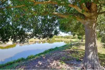 6919 Towering Spruce Dr, Riverview, FL 33578 - Photo 4