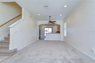 6919 Towering Spruce Dr, Riverview, FL 33578 - Photo 10