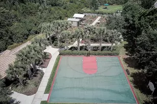 4834 Marble Springs Cir, Wimauma, FL 33598 - Photo 58